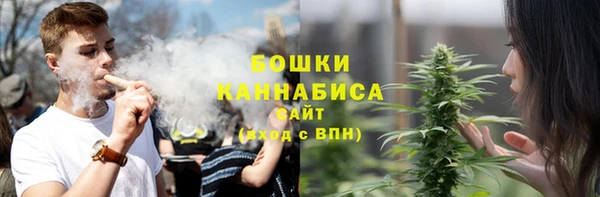 тгк Костерёво